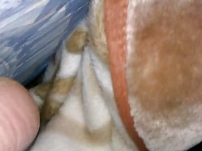 Çarpma ona sıkı ıslak kunduz kadınlar tuvaletinde gizli kamera porno derin